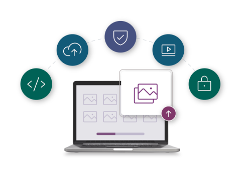 Types of Biitland.com Digital Assets!