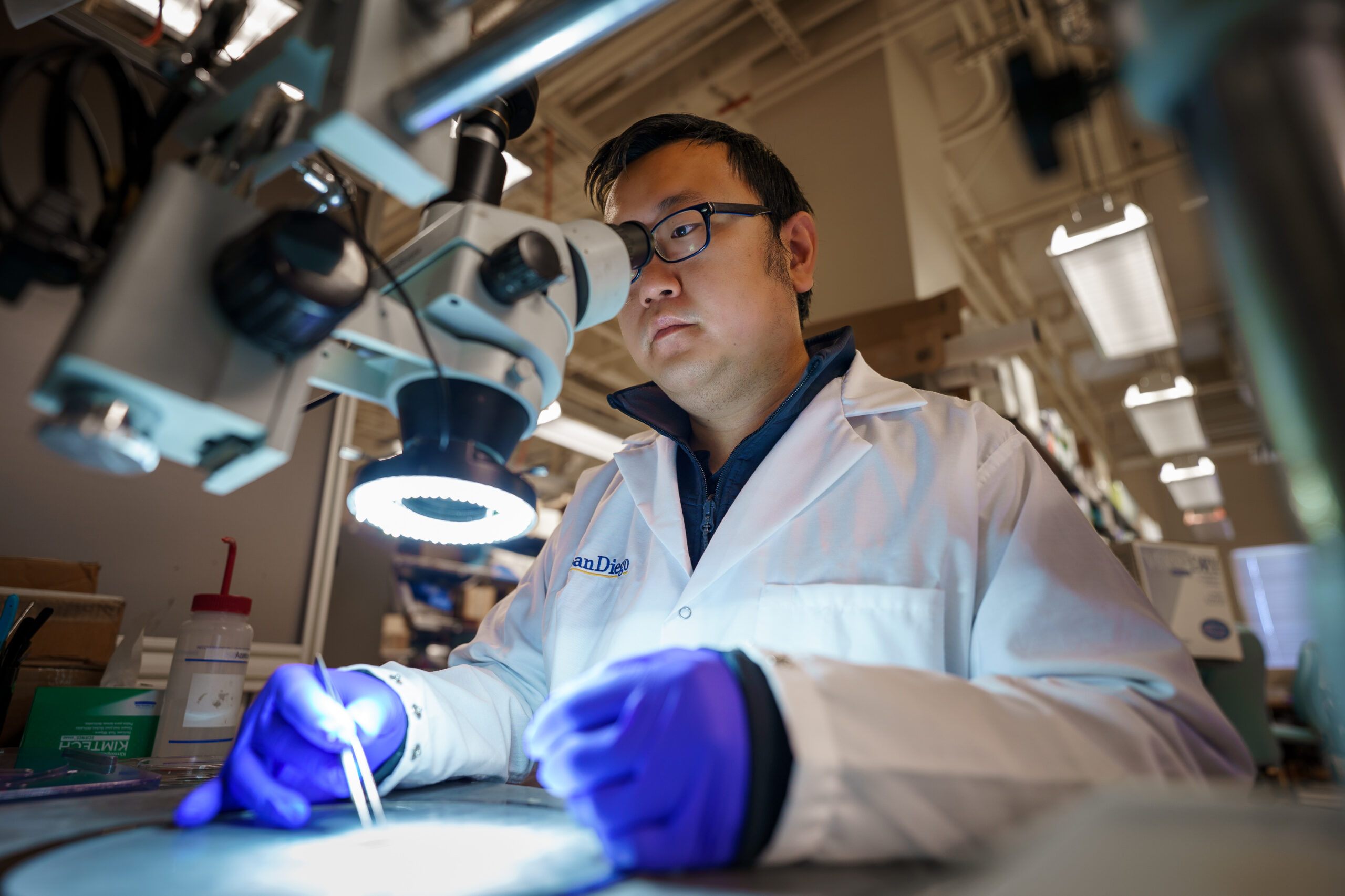 The Benefits of Regular Cardiovascular Screening